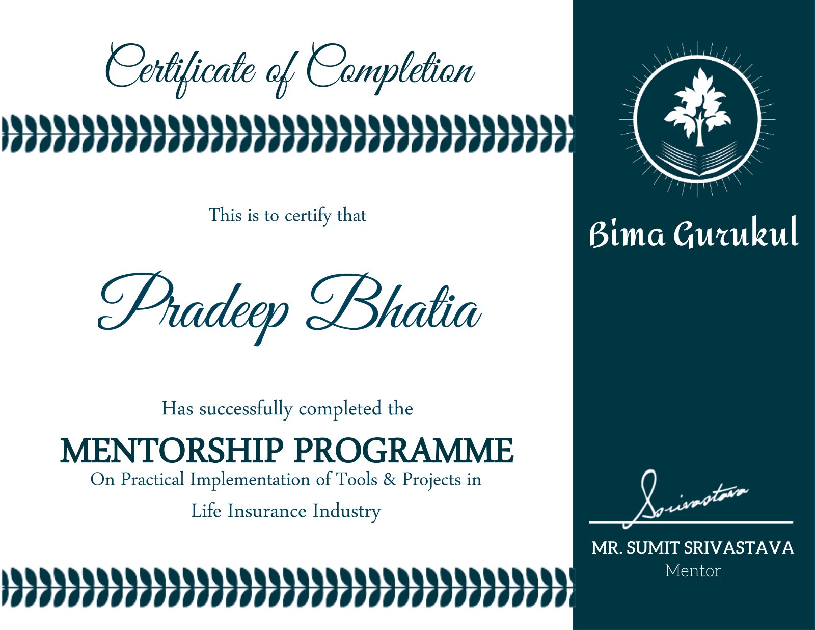 Certificate - Mentorship Programme